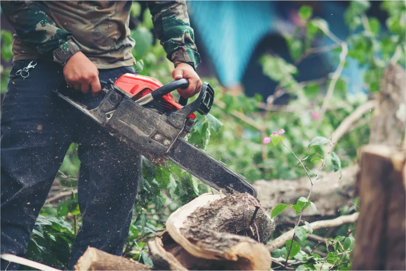 asian-man-cutting-trees-using-electrical-chainsaw